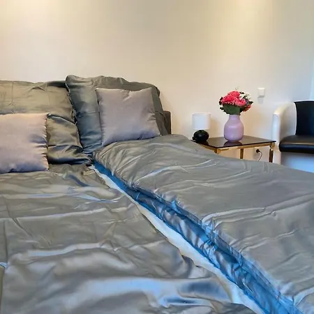 Luxury With Air Conditioning & Jaccuzzi Near Frankfurt Wiesbaden * Hofheim am Taunus