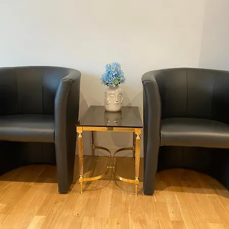 Luxury With Air Conditioning & Jaccuzzi Near Frankfurt Wiesbaden * Hofheim am Taunus