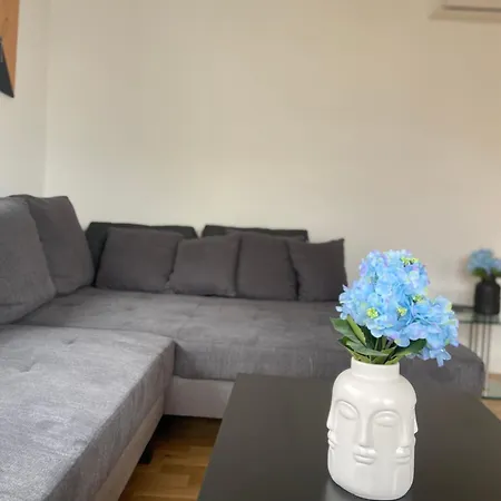 Luxury With Air Conditioning & Jaccuzzi Near Frankfurt Wiesbaden