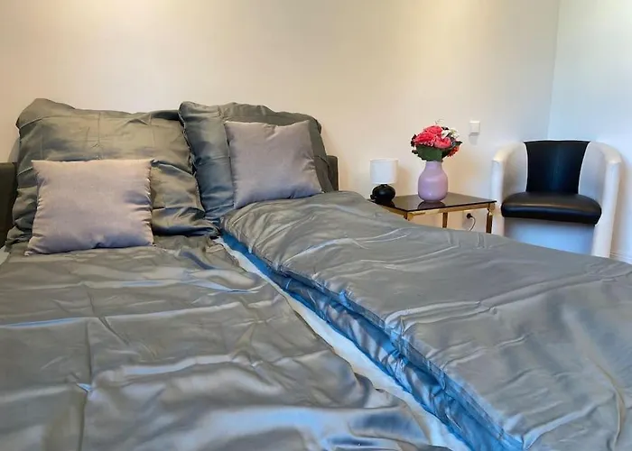 Luxury With Air Conditioning & Jaccuzzi Near Frankfurt Wiesbaden * Hofheim am Taunus