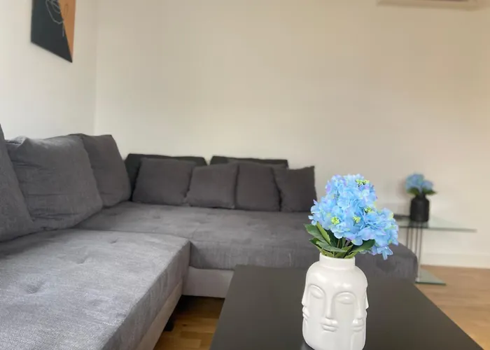 Luxury With Air Conditioning & Jaccuzzi Near Frankfurt Wiesbaden